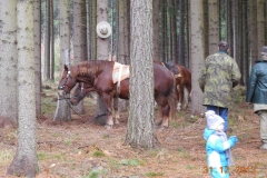 DSCN0133